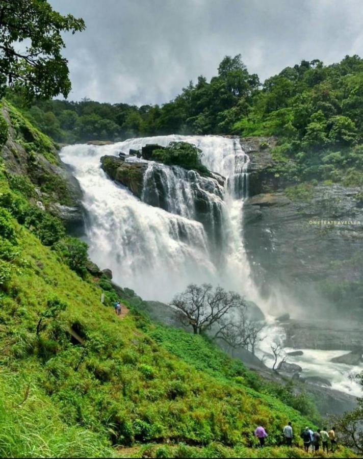 Coorg Coffee Park Farmstay Somvarpet Exterior photo