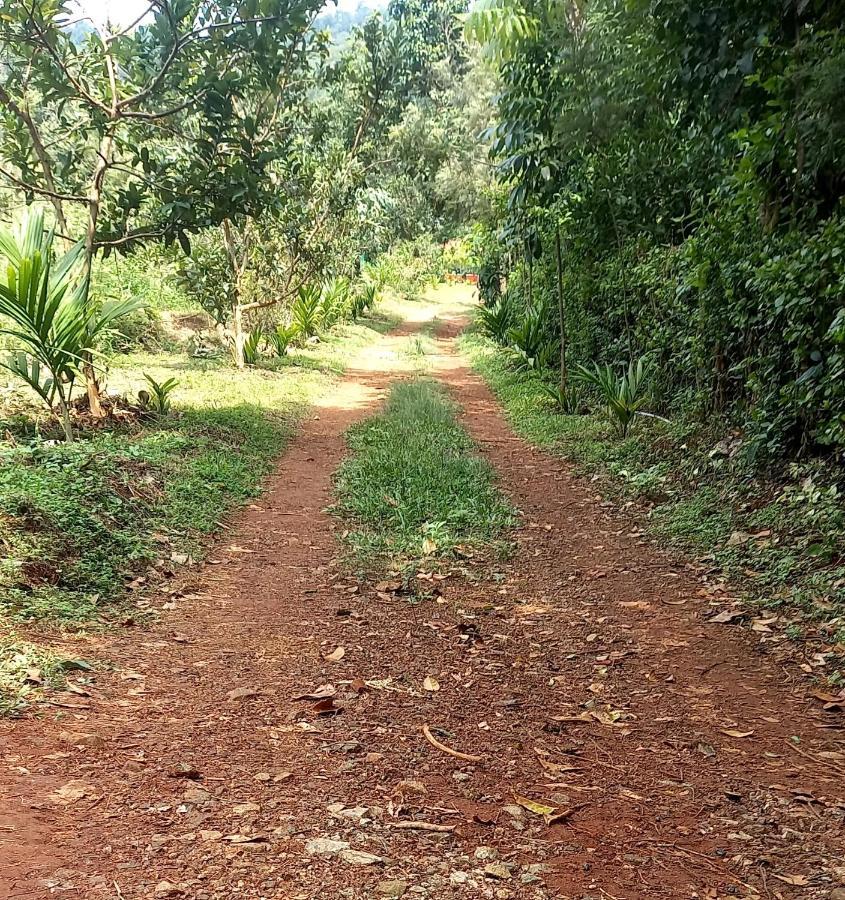 Coorg Coffee Park Farmstay Somvarpet Exterior photo