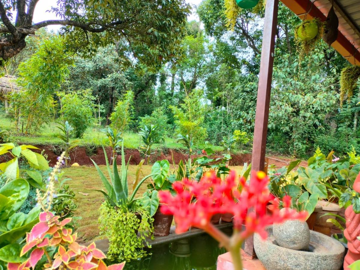 Coorg Coffee Park Farmstay Somvarpet Exterior photo